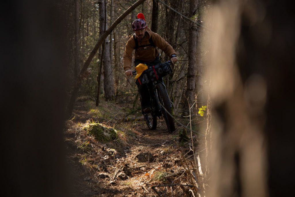 WOODPACKERS