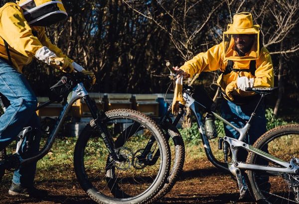 VON BIKES UND BIENEN