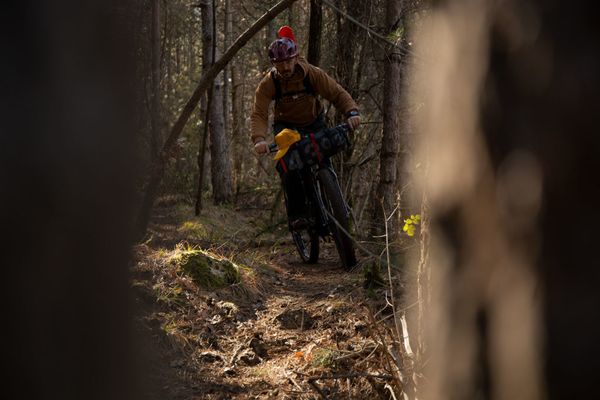 WOODPACKERS